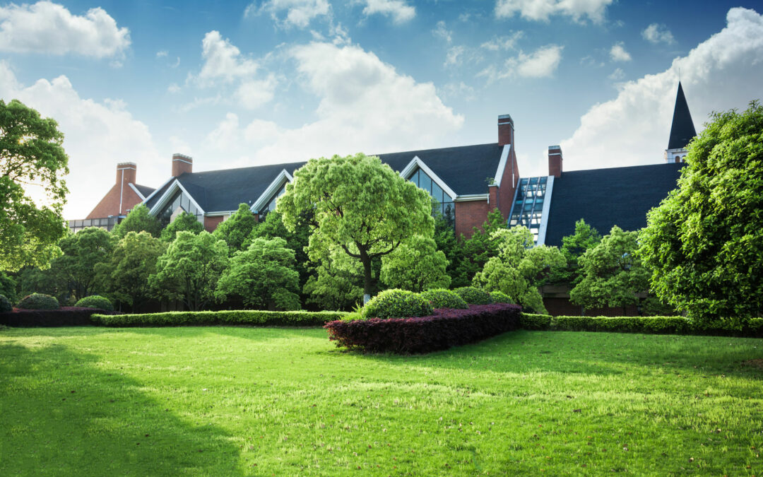 What makes a simple garden great!