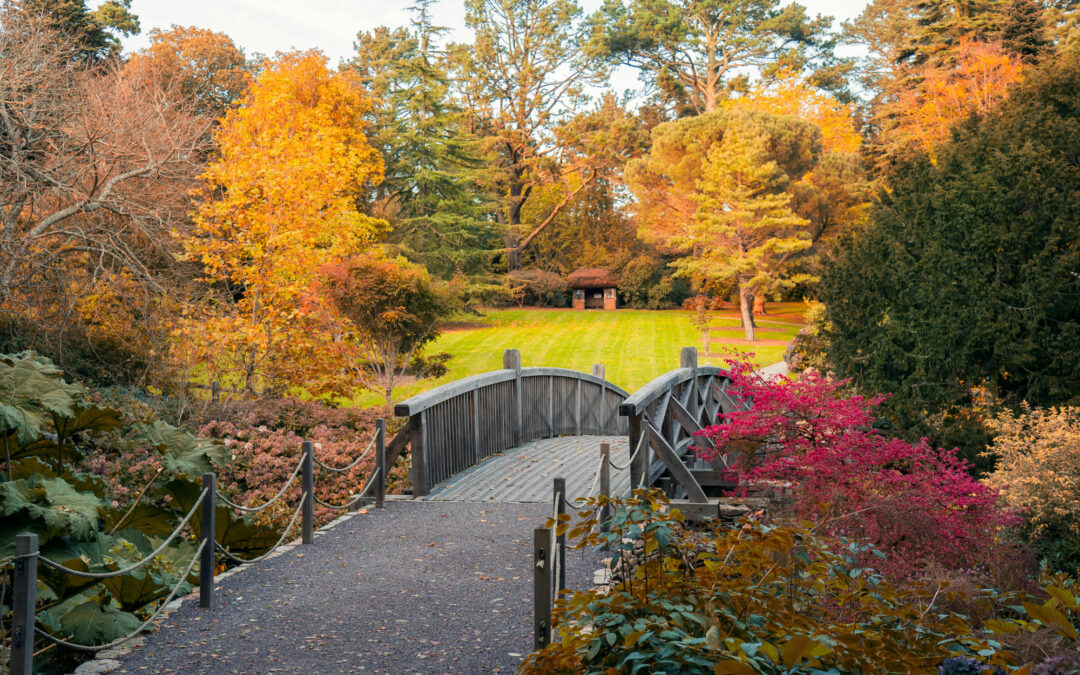 Fall Into Winter: Tips to Keep Your Garden Fresh with Cent-Trim